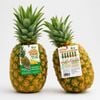  MD2 Pineapple 