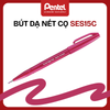 Bút Dạ Nét Cọ Pentel SES15C – Brush Pen | Viết Chữ Nghệ Thuật & Bullet Journal