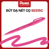 Bút Dạ Nét Cọ Pentel SES15C – Brush Pen | Viết Chữ Nghệ Thuật & Bullet Journal