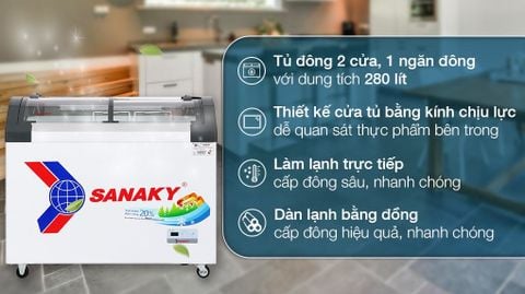 Tủ Đông Sanaky 280 lít VH-3899KB