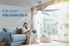 Quạt trần Sunhouse apex 6 cánh APF7698 ảnh 7