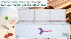 Tủ đông Sanaky Inverter 1143.5 lít VH-1399HY3 ảnh 3