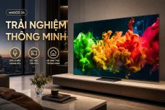 TV 4K LG QNED evo AI QNED81 Mini LED 2026 75 inch 75QNED81BSA