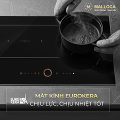 Malloca MIR9021ES ảnh 3