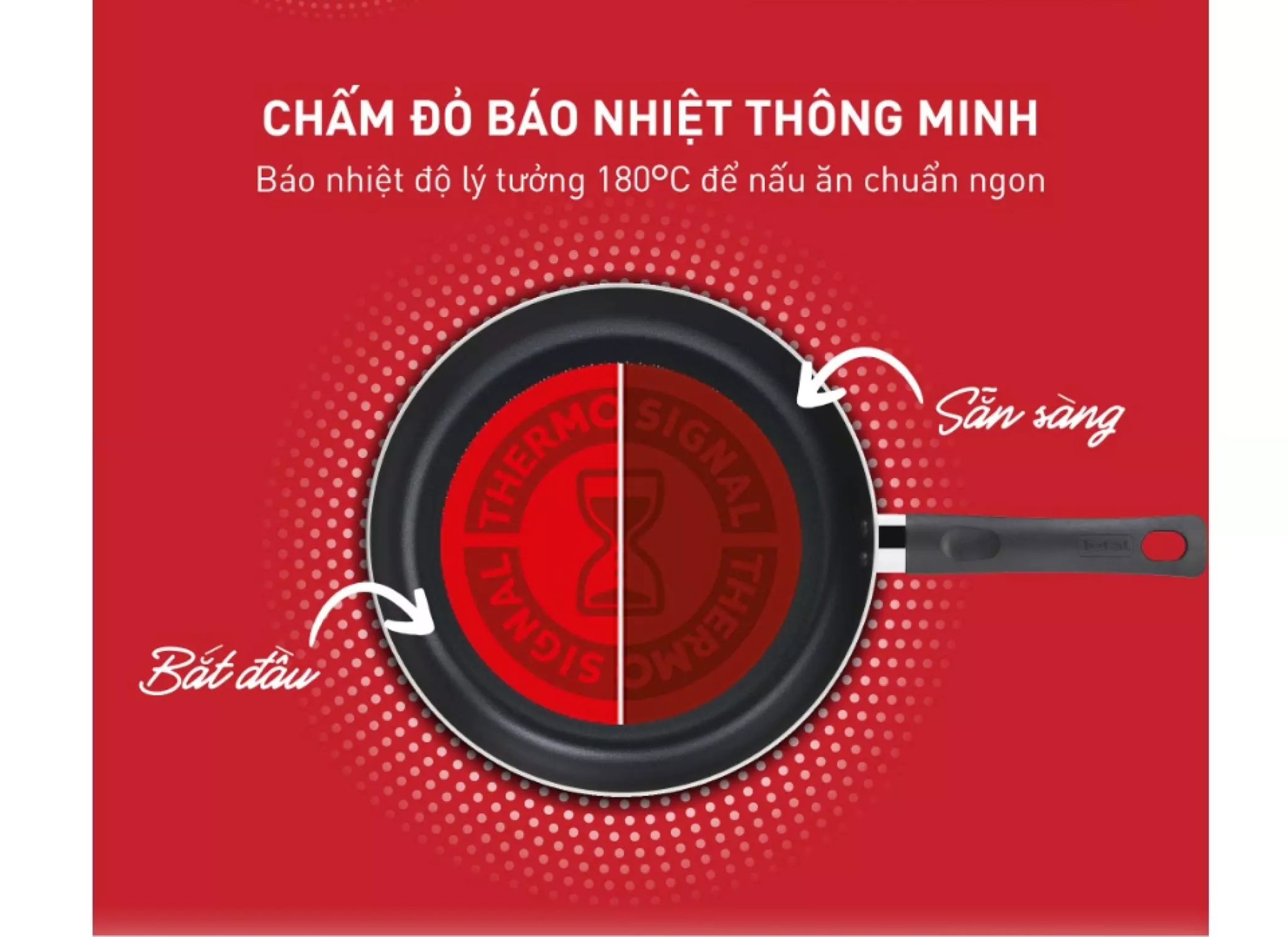 Chảo chiên sâu lòng Tefal Day By Day 24cm/28cm - G1436405/G1436606 – ảnh 3