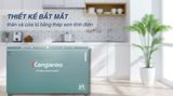  Tủ đông Kangaroo 415 lít KG415G2D 