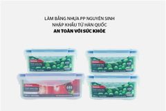 Bộ 4 hộp bảo quản thực phẩm ngăn mát biozone mini set KB-CO4P01 ảnh 2