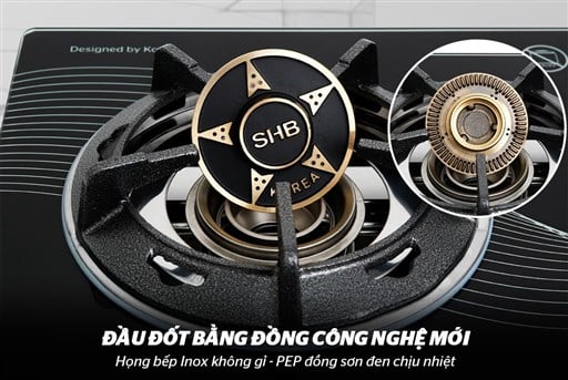 Bếp gas dương kính apex APB0816 – ảnh 6
