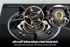 Bếp gas dương kính apex APB0816 ảnh 6