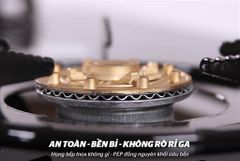 Bếp gas dương kính happy time HTB2106 ảnh 6