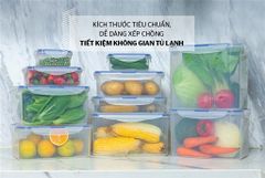 Bộ 3 hộp bảo quản thực phẩm ngăn mát biozone tiện lợi KB-CO3P02 ảnh 4