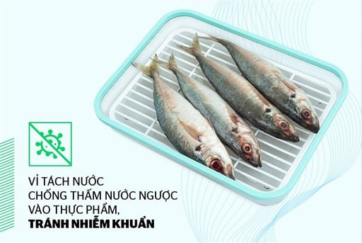 Hộp bảo quản thực phẩm ngăn đông biozone 1200ML KB-FR1200S – ảnh 4