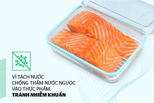 Hộp bảo quản thực phẩm ngăn đông biozone 1000ML KB-FR1000S – ảnh 4