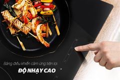 Bếp đôi điện từ Sunhouse SHB9122MT ảnh 5