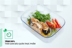 Hộp bảo quản thực phẩm thông minh biozone 1250ML KB-SM1250S ảnh 5