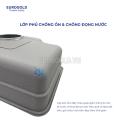 Chậu rửa bát Eurogold EUC88050EB - 800x500x230mm ảnh 2