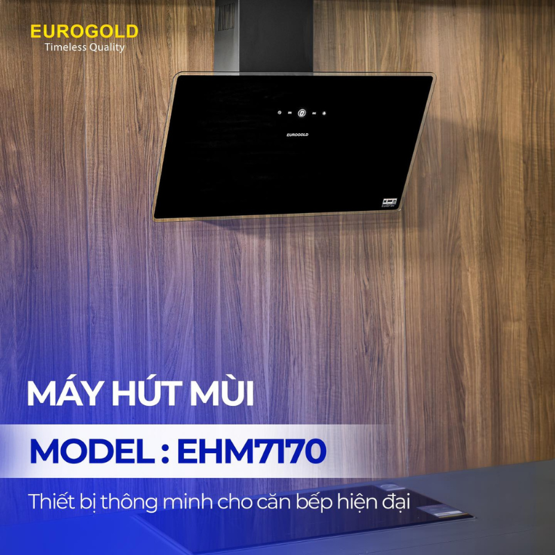 Máy hút mùi kính vát Eurogold EUH0770V - màu đen, 70cm – ảnh 4
