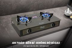 Bếp gas dương kính apex APB3551 ảnh 8