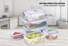 Bộ 6 hộp bảo quản thực phẩm ngăn mát biozone basic KB-CO6P01 ảnh 6