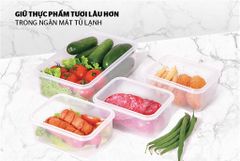 Bộ 4 hộp bảo quản thực phẩm ngăn mát biozone mini set KB-CO4P01 ảnh 6