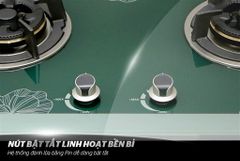 Bếp gas âm kính apex APB8815 ảnh 7