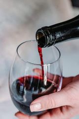 Tủ Bảo Quản Rượu Vang Caso WineSafe 12 Chai ảnh 3