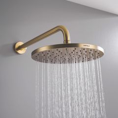 Sen Đầu Gắn Tường Retro Hafele 589.15.390 ảnh 2