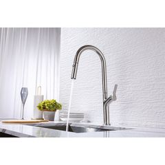Vòi Rửa Chén Bát Inox Lux-P HT25-SH1F449 Hafele 570.85.045 ảnh 2