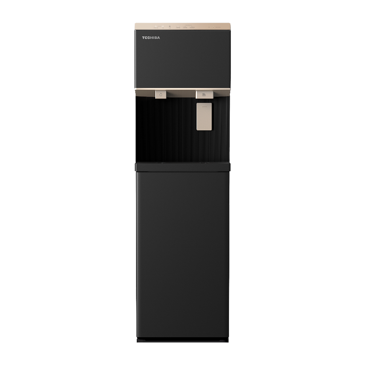 Máy Nước Nóng Lạnh Làm Đá RWF-IW2469BVN(K)