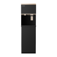 Máy Nước Nóng Lạnh Làm Đá RWF-IW2469BVN(K) ảnh 1