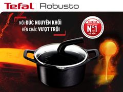 Nồi đúc cao cấp Tefal Robusto có miệng rót 24cm ảnh 1