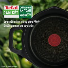 Nồi đúc cao cấp Tefal Robusto có miệng rót 20cm ảnh 3