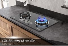 Bếp gas âm kính apex APB8817 ảnh 7