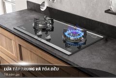 Bếp gas âm kính apex APB8819 ảnh 7
