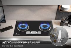 Bếp gas âm kính apex APB8817 ảnh 8
