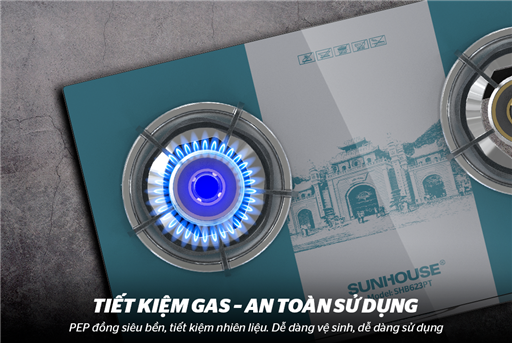 Bếp gas dương kính Sunhouse SHB623PT – ảnh 2