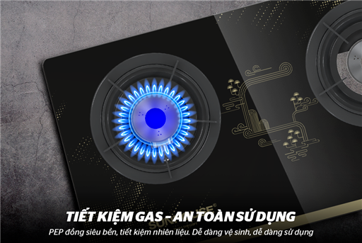 Bếp gas dương kính Sunhouse SHB628PT – ảnh 2