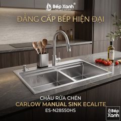 Chậu rửa chén 2 hộc cao cấp Ecalite ES-N28550HS ảnh 2