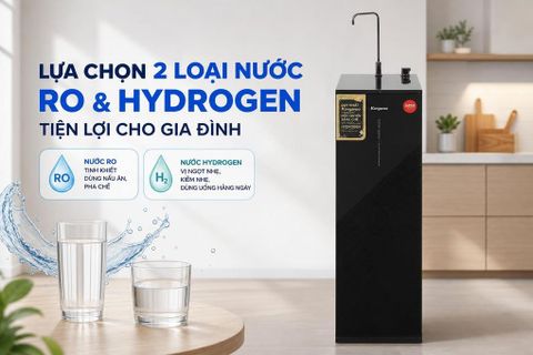 Máy lọc nước RO Hydrogen Kangaroo KG12S1H1 12 lõi