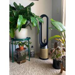 Quạt Không Cánh kèm Lọc Không Khí Dyson TP06 ảnh 2