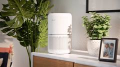 Máy lọc không khí Levoit Core 300 máy lọc không khí diện tích 20m² ảnh 2