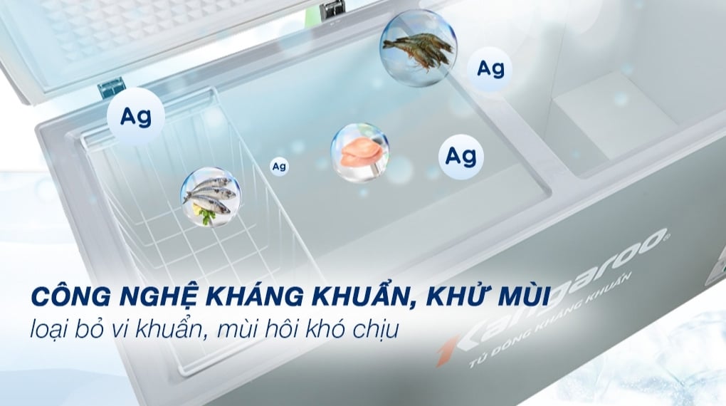 Tủ đông Kangaroo KG415G2D - bên trong Tủ đông Kangaroo KG415G2D - bên trong