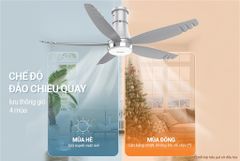 Quạt trần 5 cánh có đèn Sunhouse apex APF7681G ảnh 7