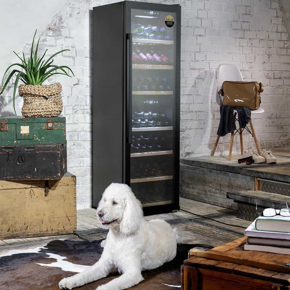 Tủ Bảo Quản Rượu Vang CASO WineExclusive 38 Chai – ảnh 2