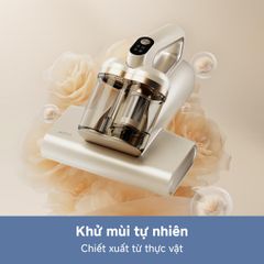 Máy hút bụi giường nệm Mova D10 Max máy hút bụi giường nệm ảnh 4