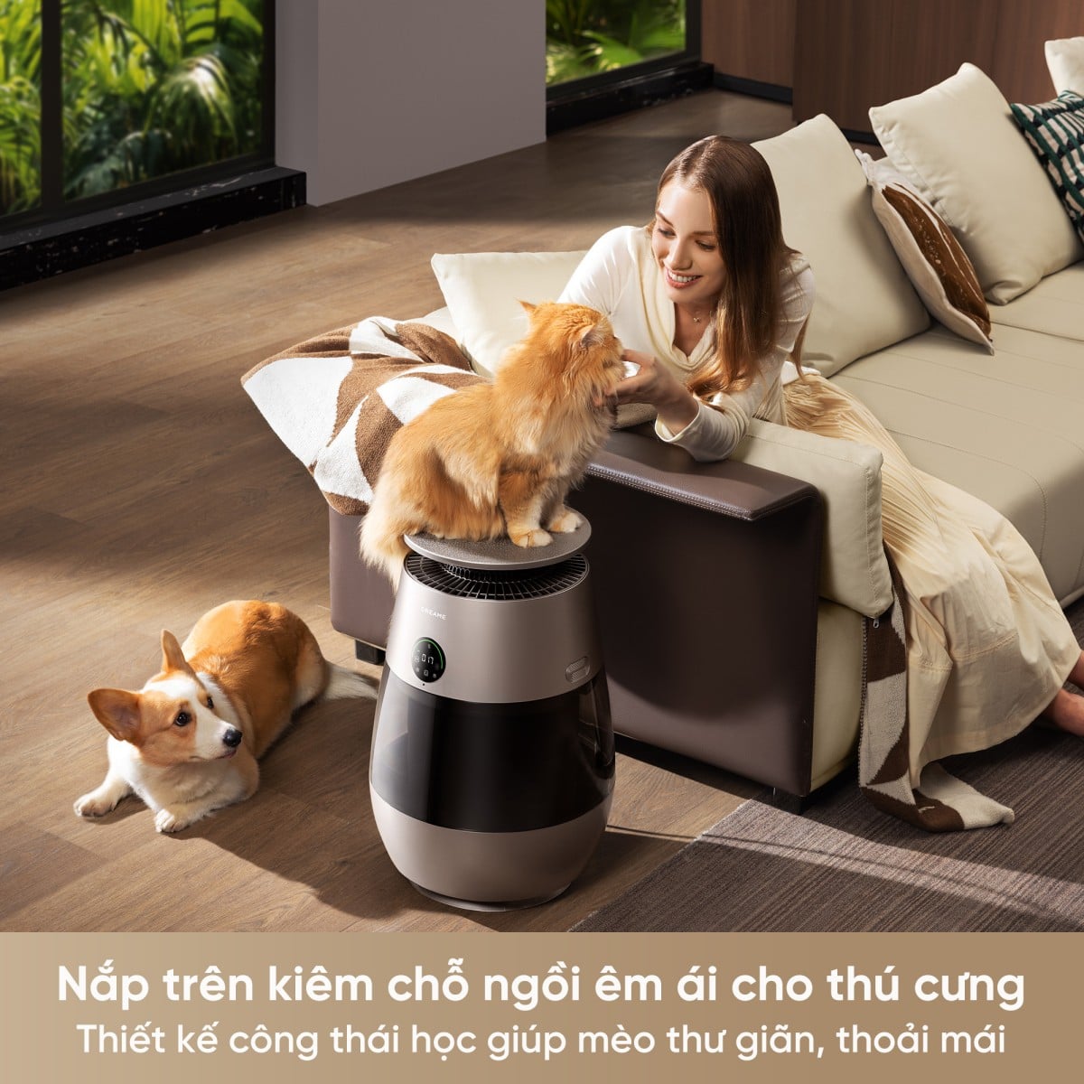 Máy lọc không khí Dreame AP10 – ảnh 8