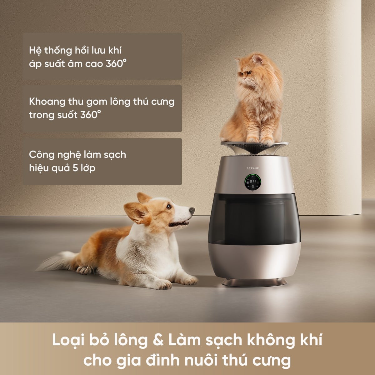 Máy lọc không khí Dreame AP10 – ảnh 3
