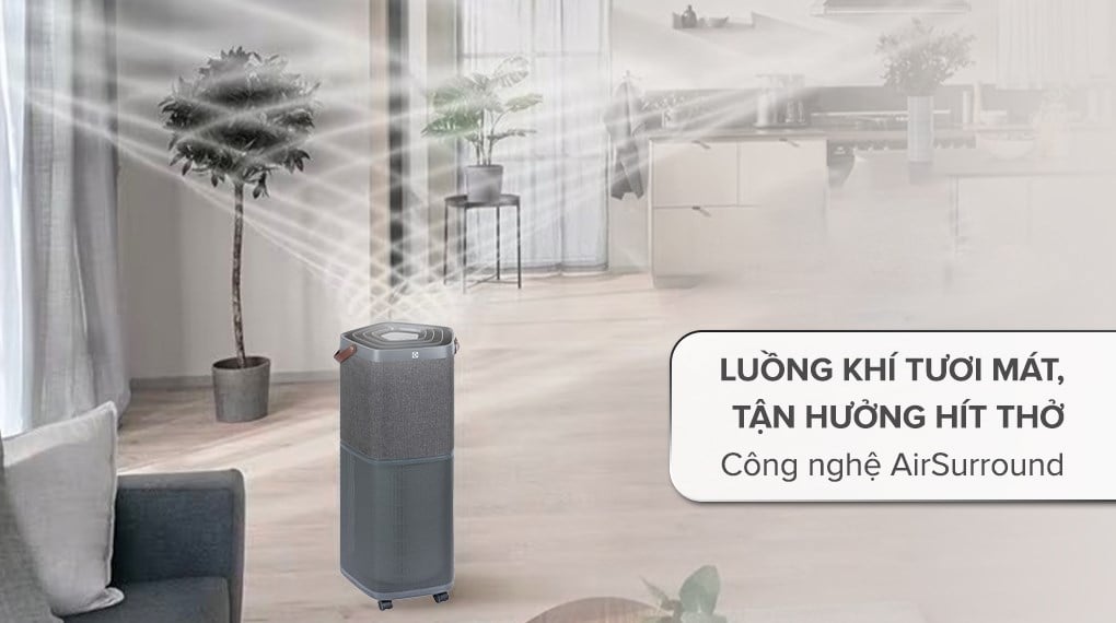 Máy lọc không khí Electrolux PA91-606DG 41W – ảnh 8