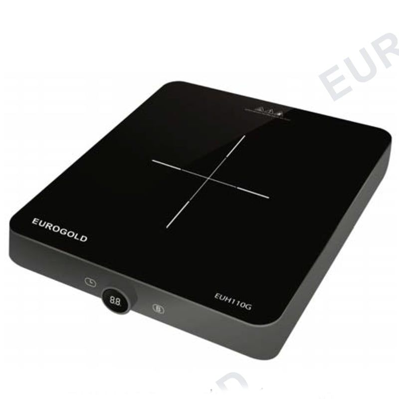 Bếp từ đơn Eurogold EUH110G - màu ghi
