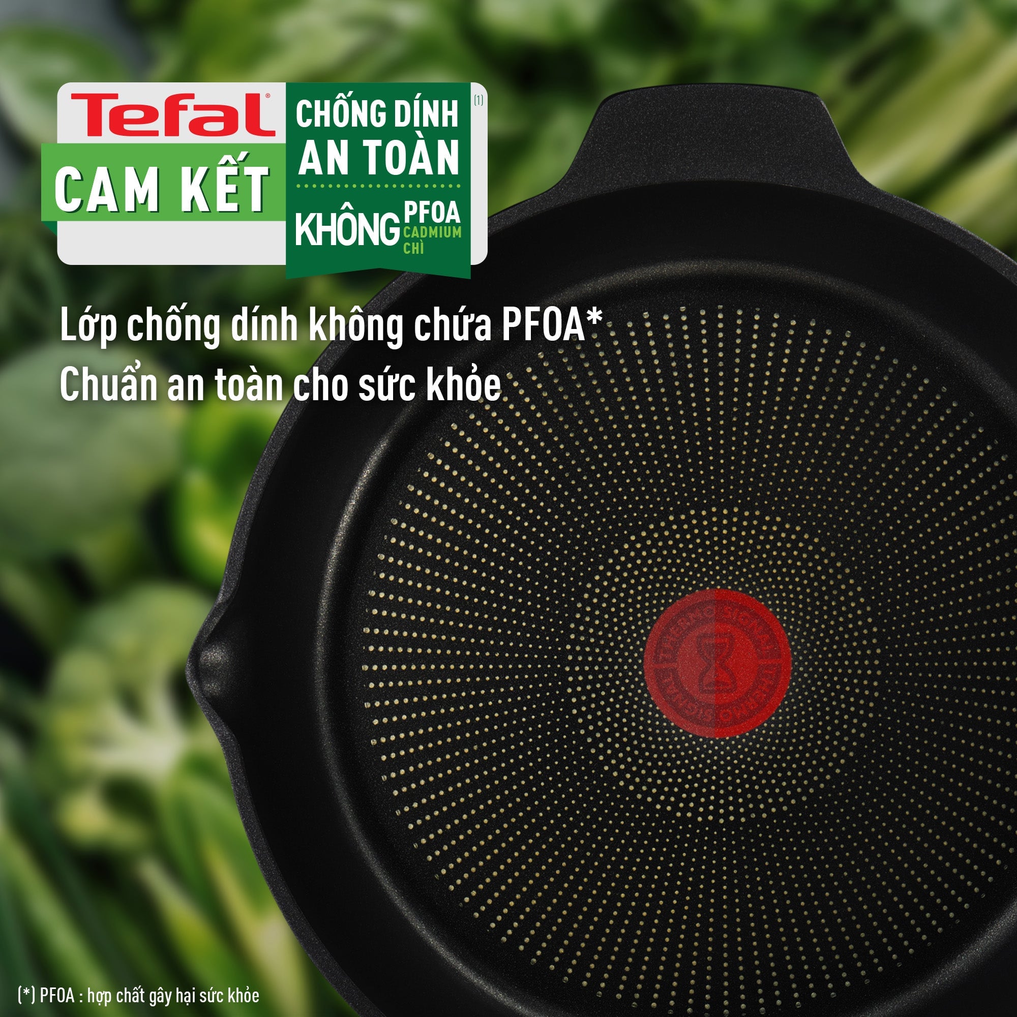 Chảo đúc cao cấp Tefal Robusto có miệng rót 20cm/22cm/24cm – ảnh 3